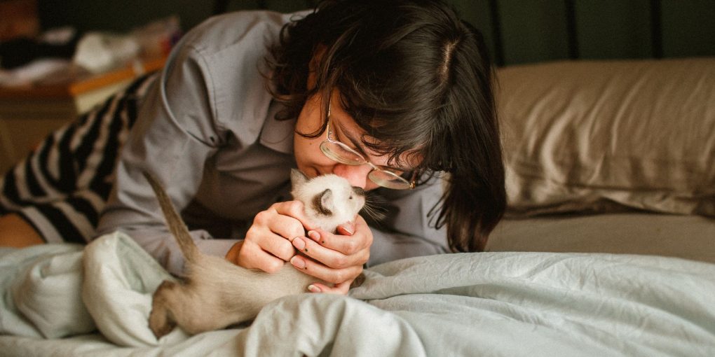 do cats understand kisses
