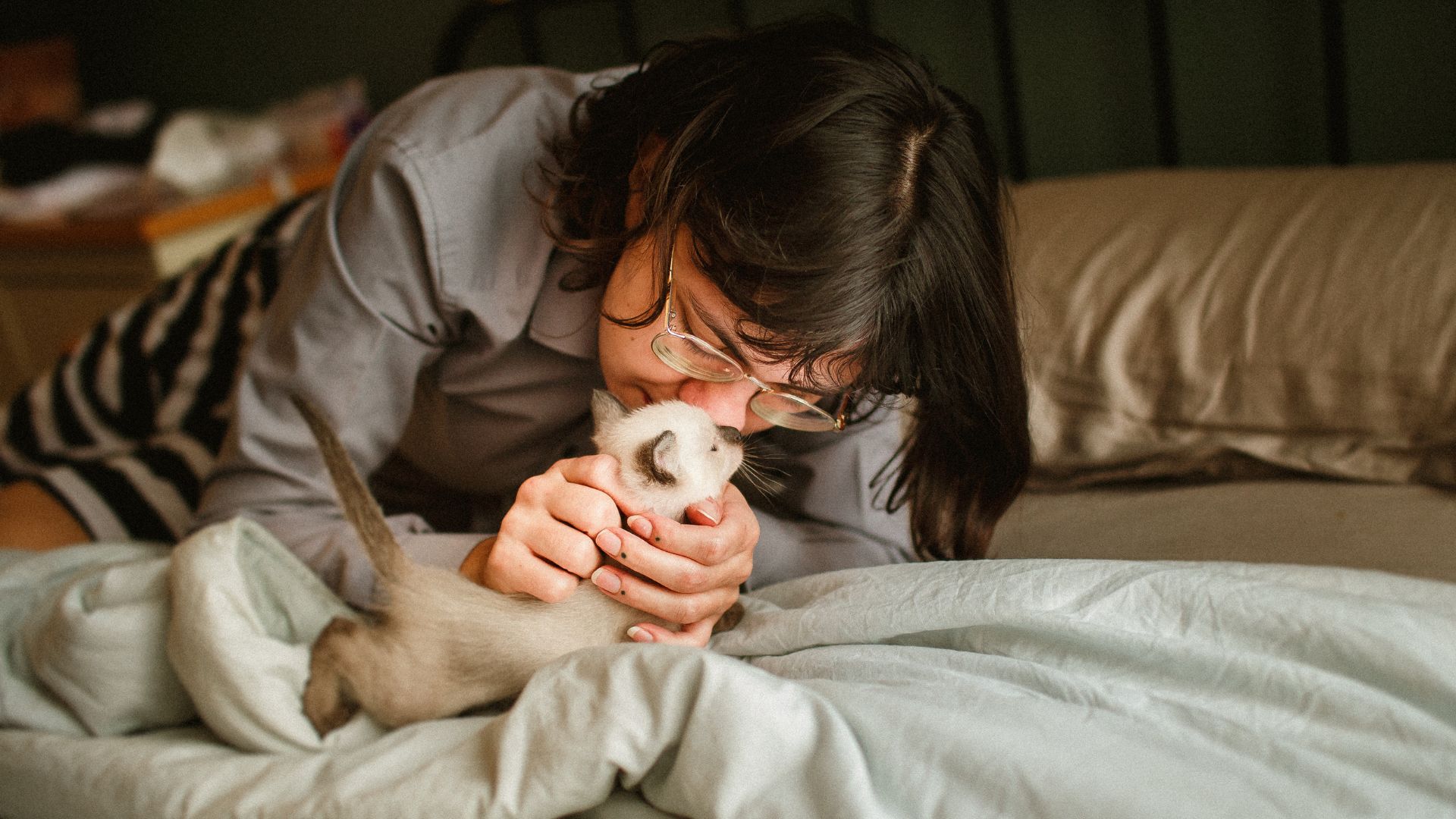 Understanding Feline Affection Do Cats Recognize Kisses? Obey My Cat