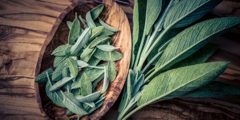 understanding-sage-a-brief-overview